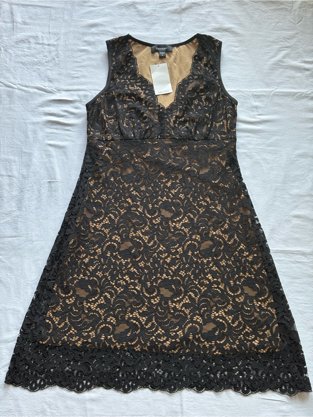 Karen Kane Lace Overlay with Nude Lining A-Line Dress
